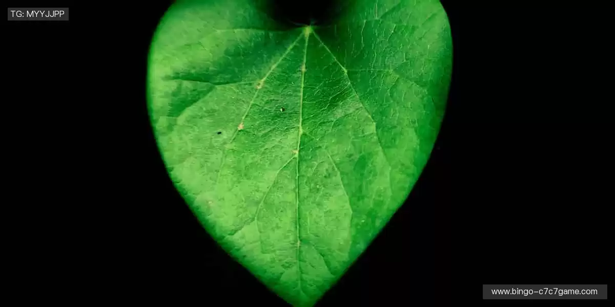 👟潮流周边,让运动与时尚完美碰撞!